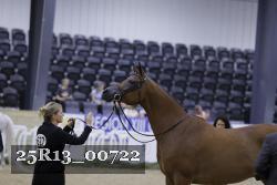 25R13_00722 thumbnail