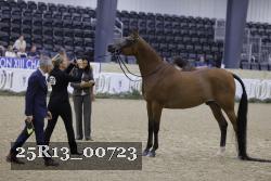 25R13_00723 thumbnail