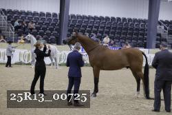 25R13_00725 thumbnail