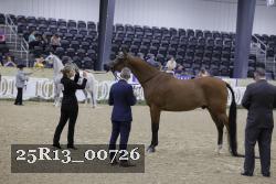 25R13_00726 thumbnail
