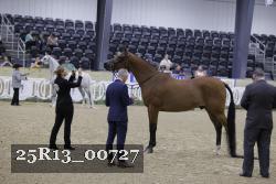 25R13_00727 thumbnail