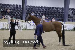 25R13_00728 thumbnail