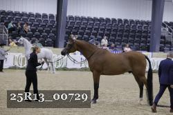 25R13_00729 thumbnail