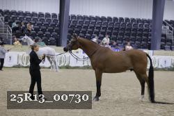 25R13_00730 thumbnail