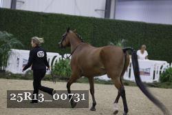 25R13_00731 thumbnail