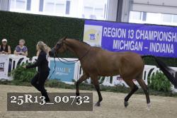 25R13_00732 thumbnail