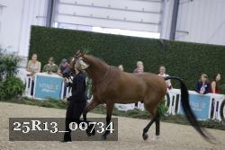 25R13_00734 thumbnail