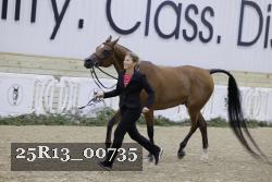 25R13_00735 thumbnail