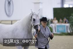 25R13_00737 thumbnail