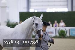 25R13_00738 thumbnail