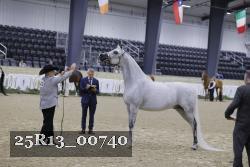 25R13_00740 thumbnail