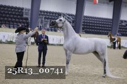 25R13_00741 thumbnail