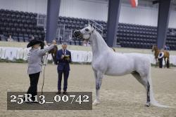 25R13_00742 thumbnail