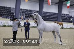 25R13_00743 thumbnail