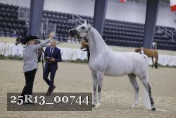 25R13_00744 thumbnail