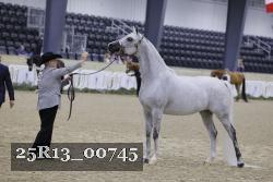 25R13_00745 thumbnail