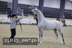 25R13_00746 thumbnail