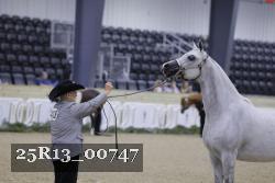 25R13_00747 thumbnail