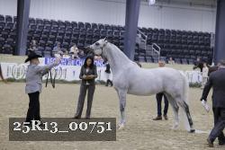 25R13_00751 thumbnail