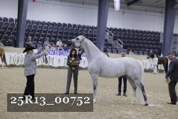 25R13_00752 thumbnail