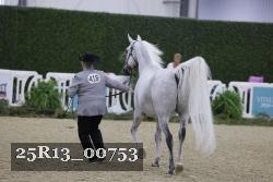 25R13_00753 thumbnail
