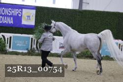 25R13_00754 thumbnail