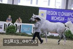 25R13_00755 thumbnail