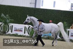 25R13_00756 thumbnail