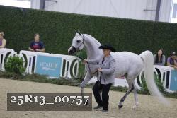 25R13_00757 thumbnail