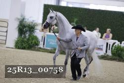 25R13_00758 thumbnail