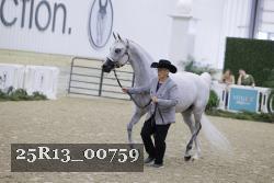 25R13_00759 thumbnail