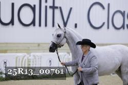 25R13_00761 thumbnail