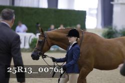 25R13_00764 thumbnail