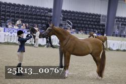 25R13_00767 thumbnail