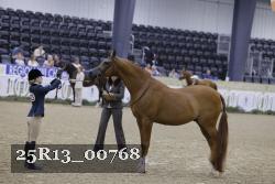 25R13_00768 thumbnail