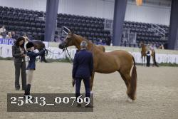 25R13_00769 thumbnail