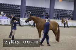25R13_00770 thumbnail