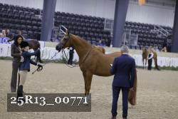 25R13_00771 thumbnail
