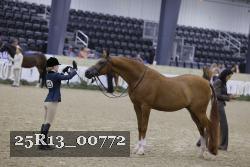 25R13_00772 thumbnail