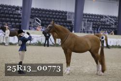 25R13_00773 thumbnail