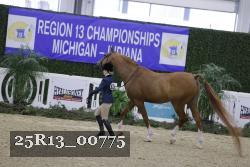 25R13_00775 thumbnail