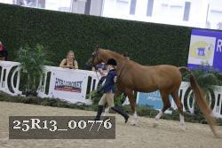 25R13_00776 thumbnail