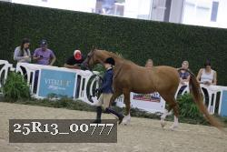 25R13_00777 thumbnail