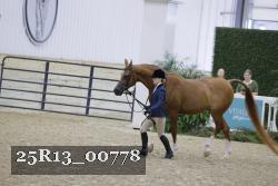 25R13_00778 thumbnail