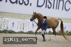 25R13_00779 thumbnail