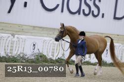 25R13_00780 thumbnail
