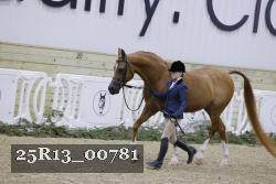 25R13_00781 thumbnail
