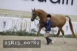 25R13_00782 thumbnail