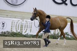 25R13_00783 thumbnail