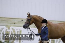 25R13_00784 thumbnail